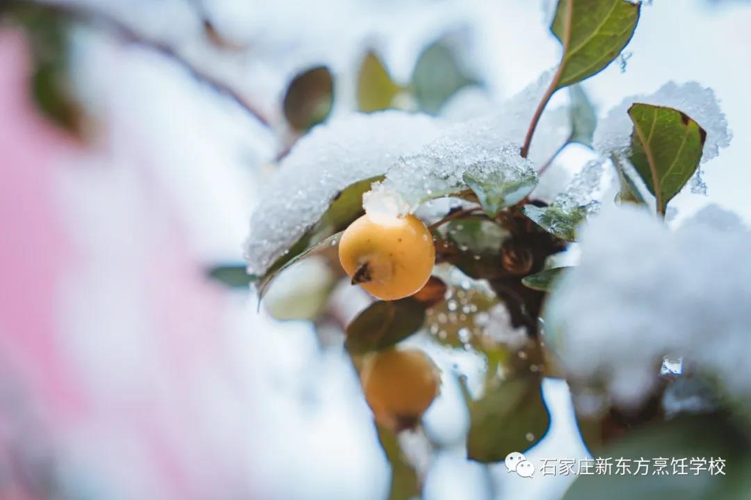 爸媽放心吧，立冬的餃子我已經(jīng)吃上啦！