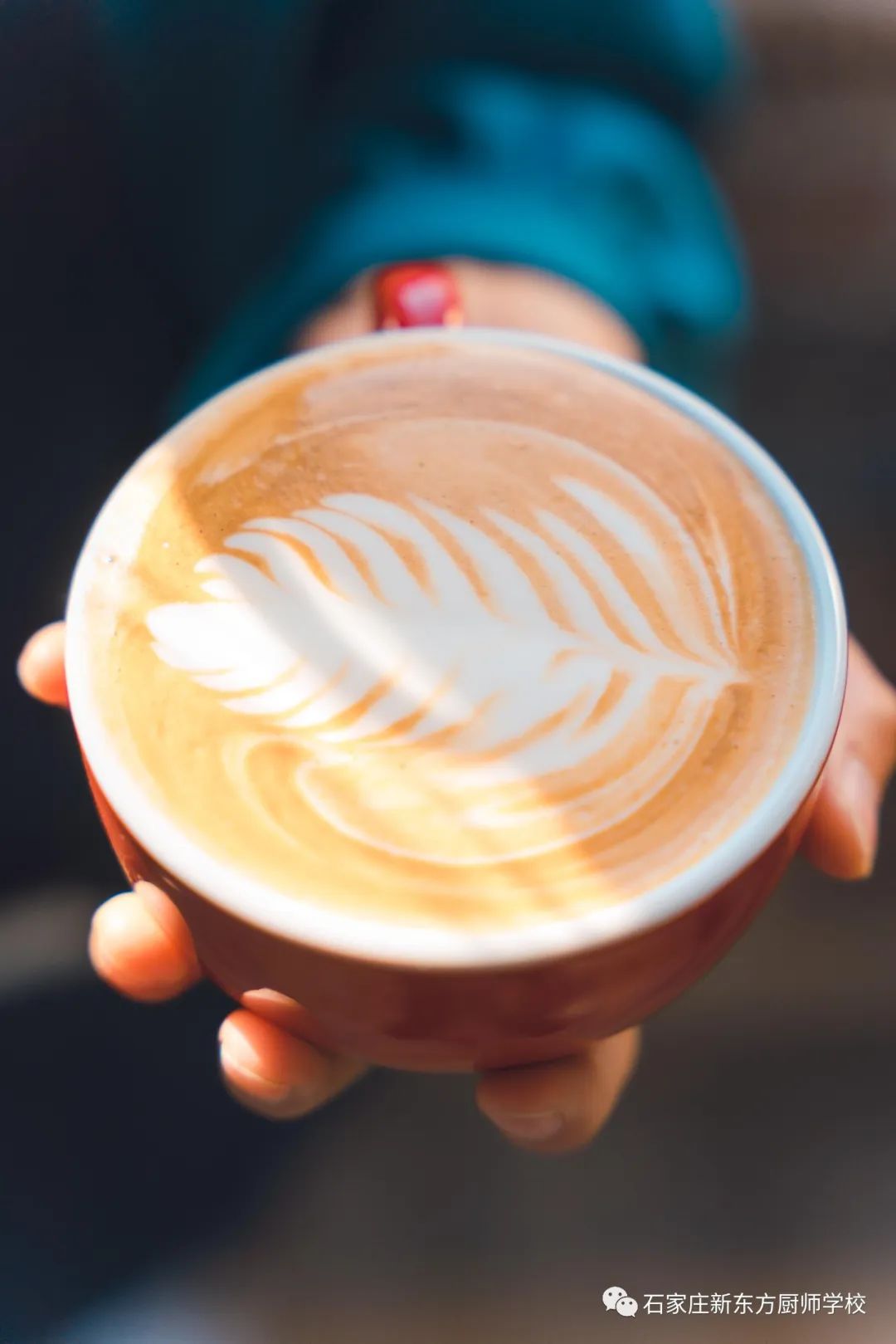 5e418bf982d0df32f44ef4efdaa1e34a.jpg 5e418bf982d0df32f44ef4efdaa1e34a.jpg