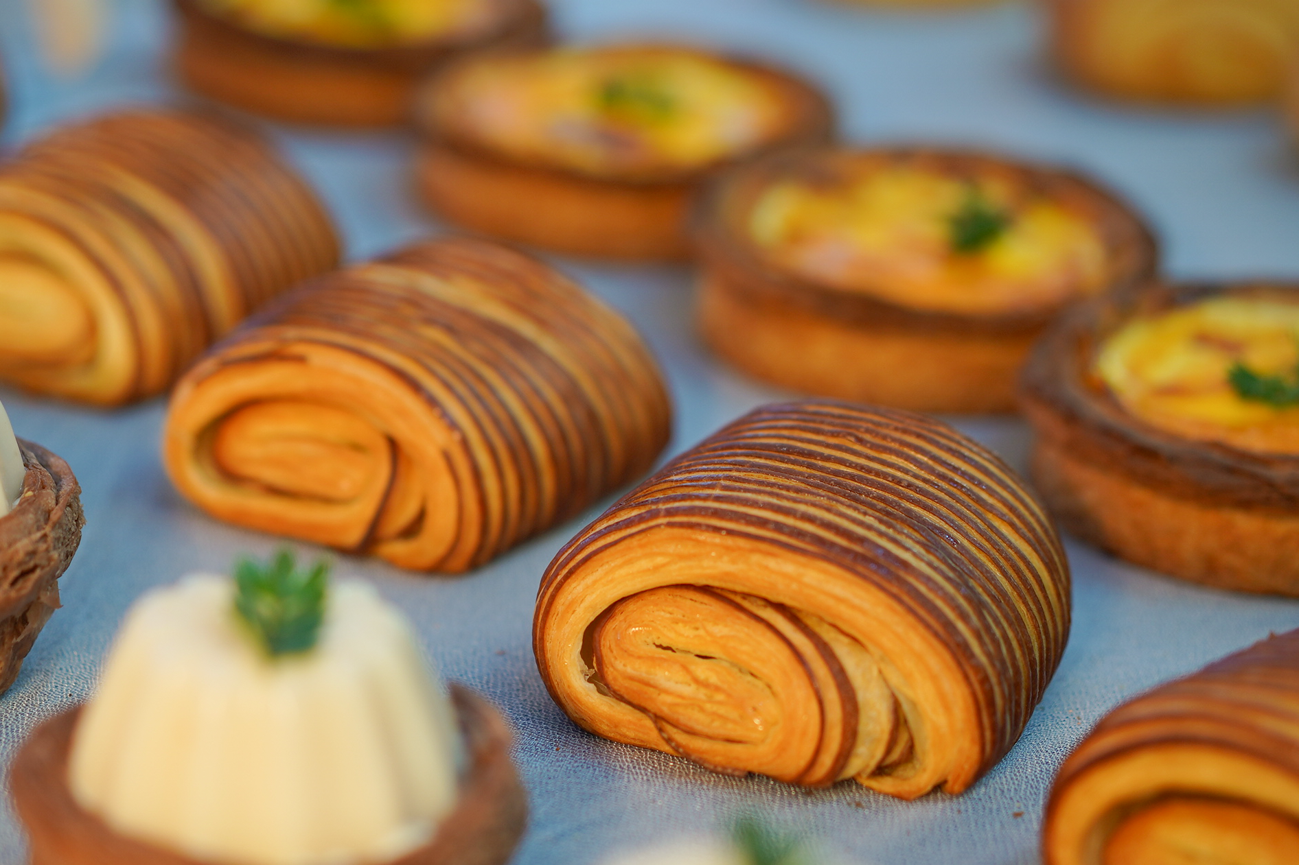 c37f1adfcc5dd53a91f3b0210a84d583.png c37f1adfcc5dd53a91f3b0210a84d583.png