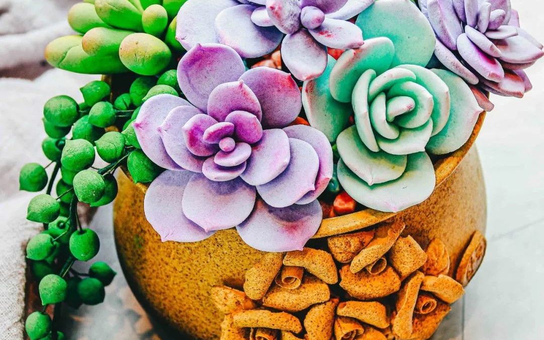 dd4536e7cbd679baa16a4c34d57c5890.png dd4536e7cbd679baa16a4c34d57c5890.png